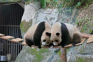 曼晚：芒特有望首发出战旧主切尔西，这是他离开后首次回到蓝桥